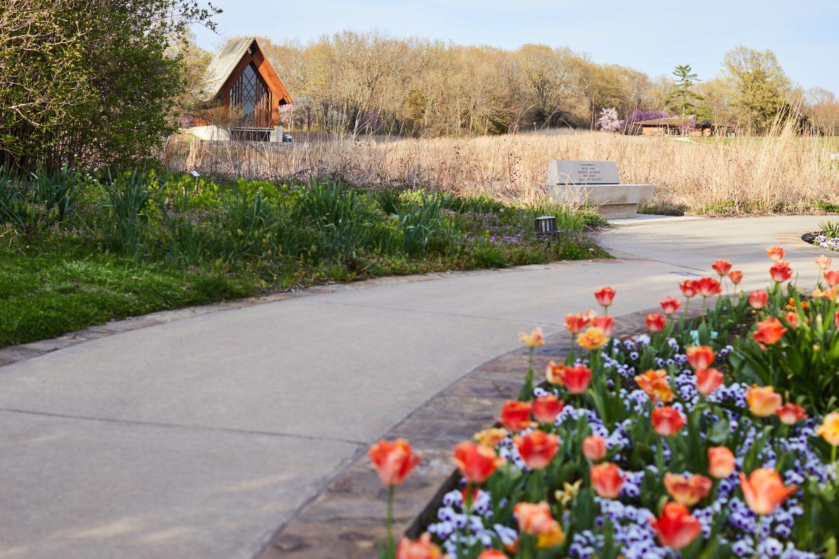 Powell Gardens – Image_5