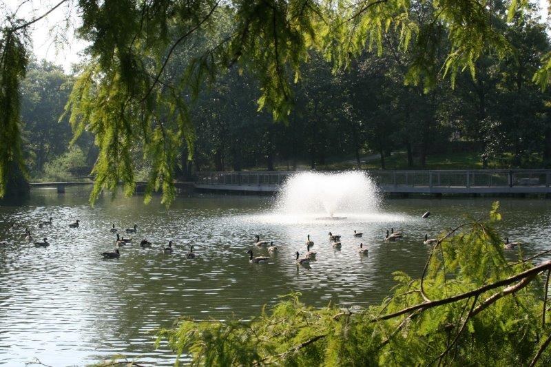 Antioch Park – Image_1