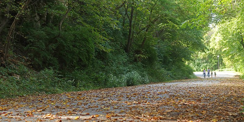 Pedestrians on Cliff Drive