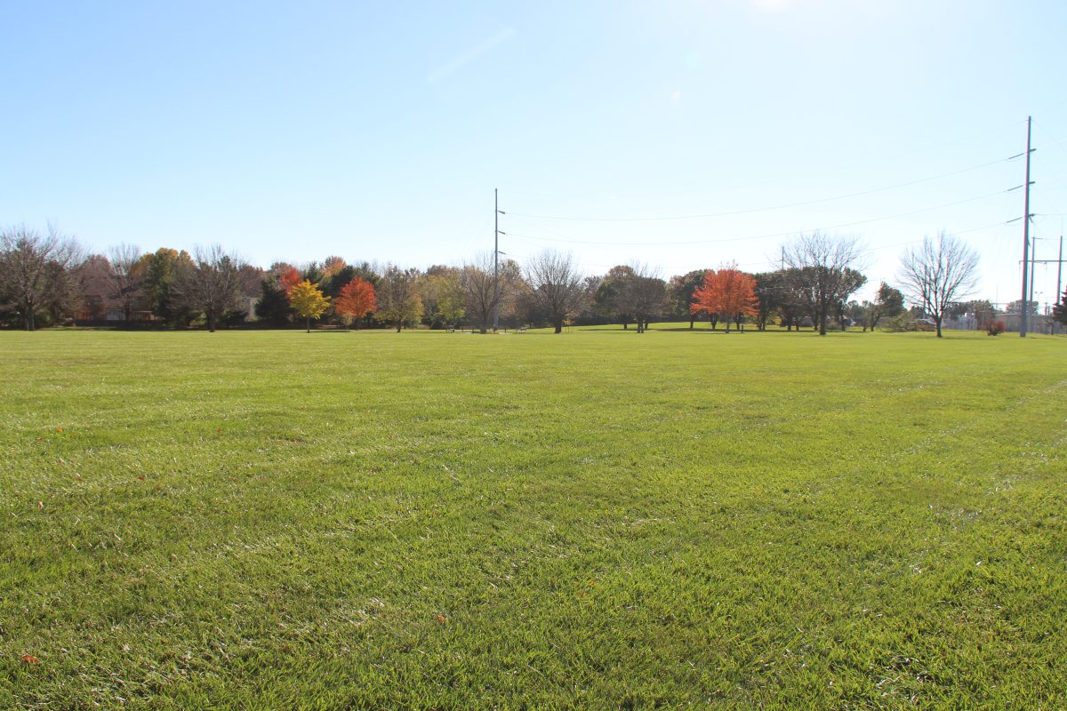 Electric Park – Image_2