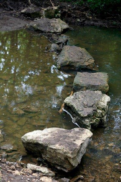 Ernie Miller Nature Center – Logo_1