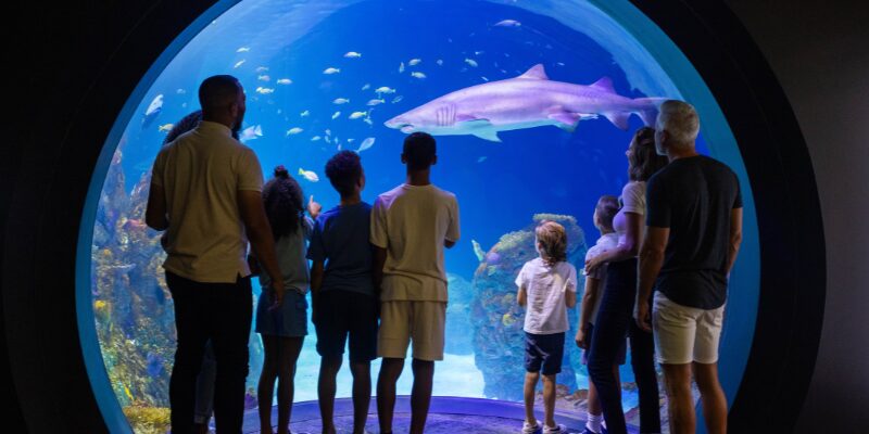 Kansas City Zoo & Aquarium – Image_1