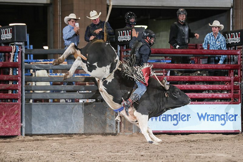 American Royal Association – Image_3