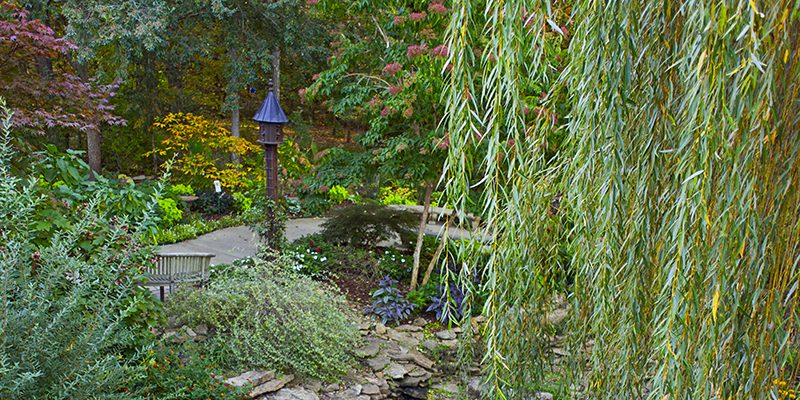 Overland Park Arboretum Lily Pond