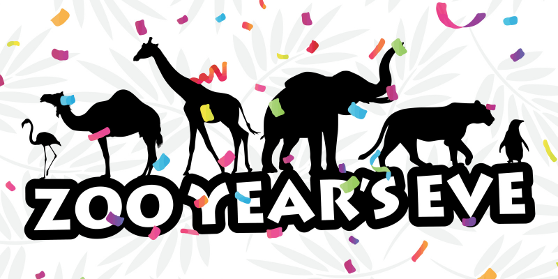 Zoo Year’s Eve – Event_Image [EVENT]