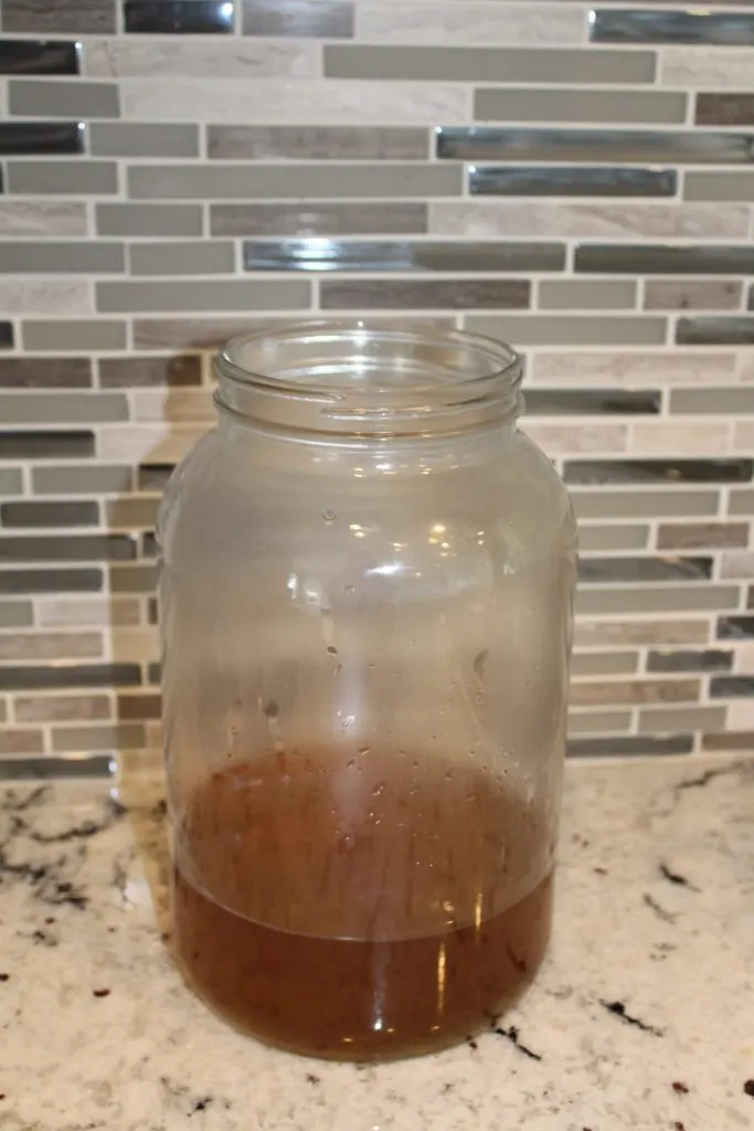 kombucha brew jar