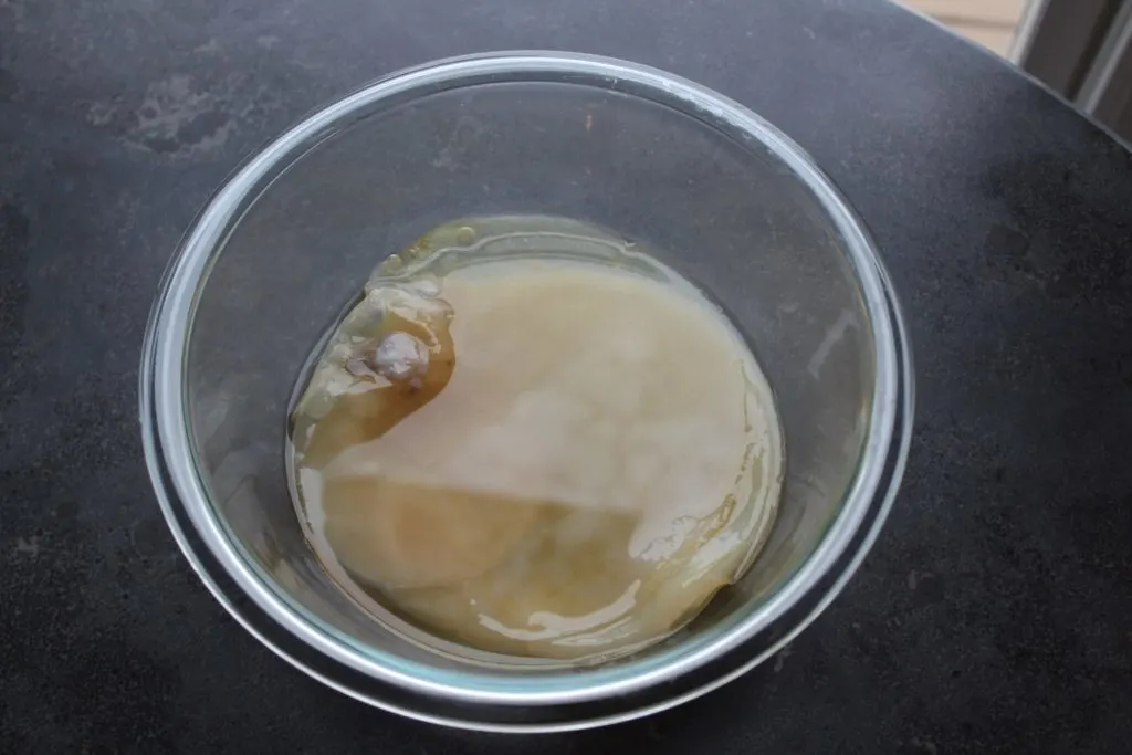 scoby