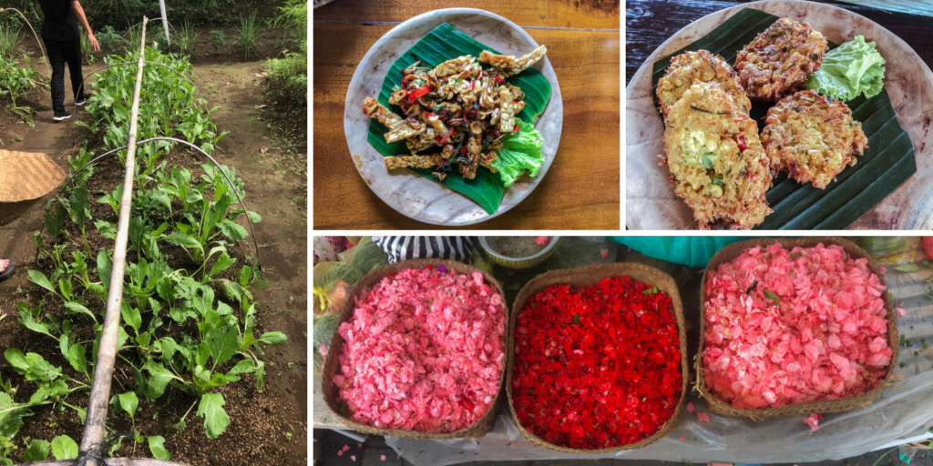 Vegan Cooking Class in Ubud, Bali | The Vegan Abroad