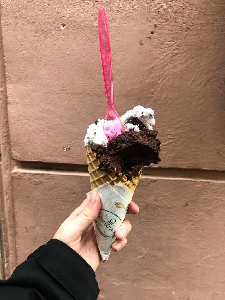 Gelateria CamBIOvita Roma (vegan gelato in Rome Italy)