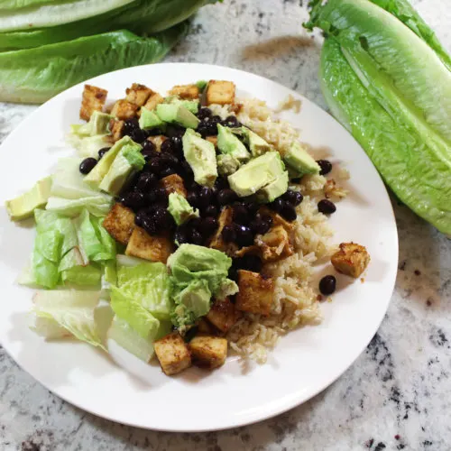 Vegan Peanut Butter Tofu